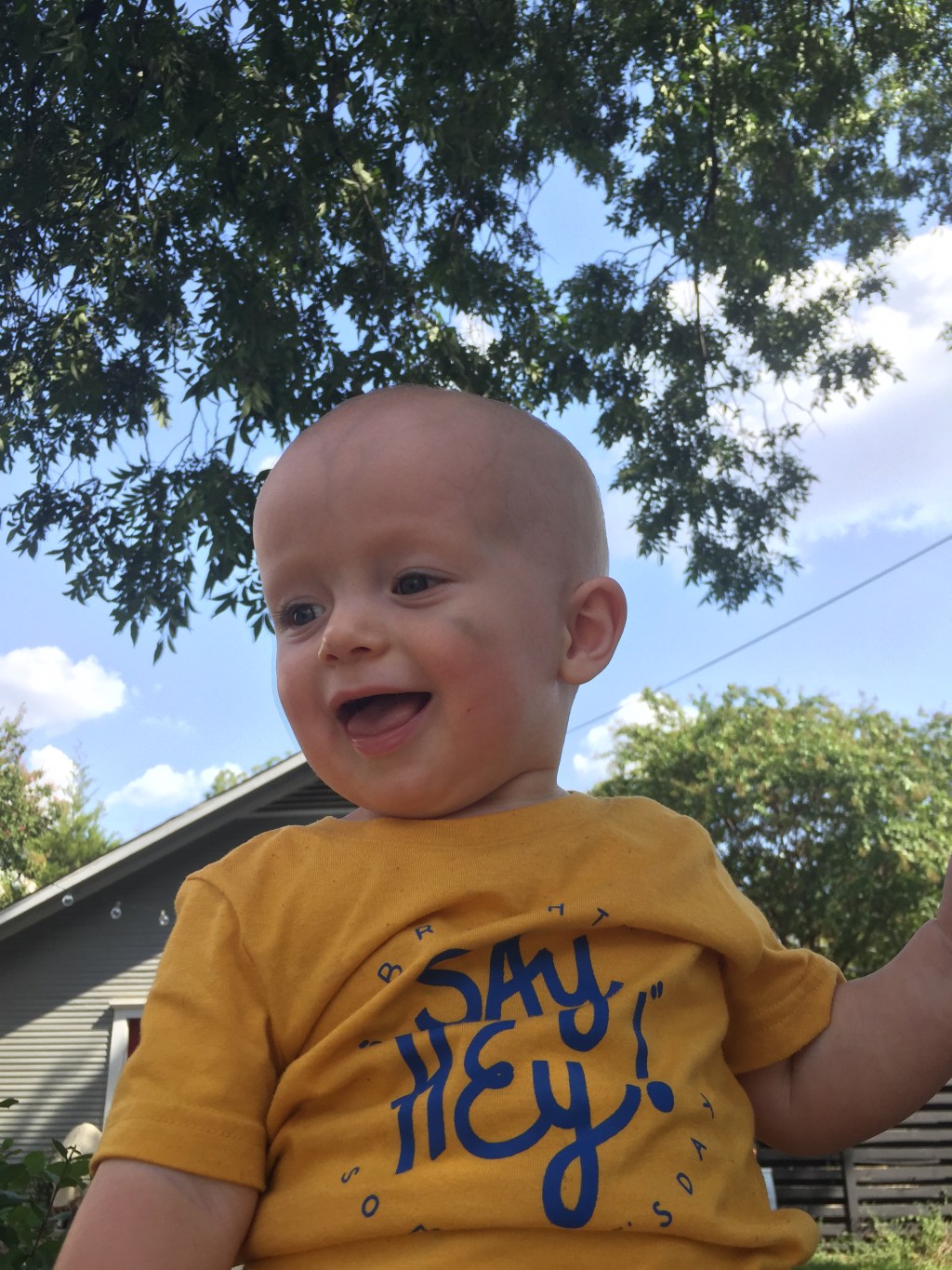 The Dangers of a Backyard&nbsp;Bumblebee